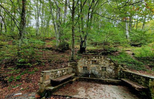 Guest house Elatochori - Foto 41