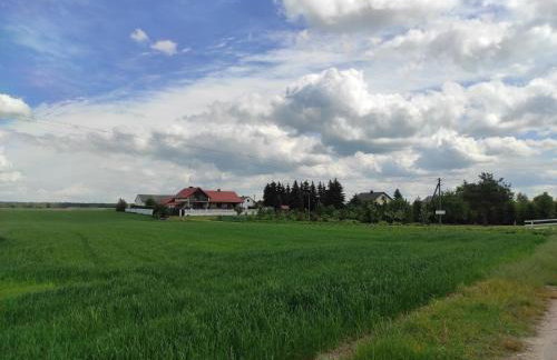 Agroturystyka Kobylnica nad Wisłą - Foto 56