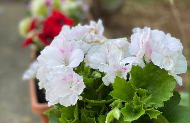 Denis Apartment - Photo 41