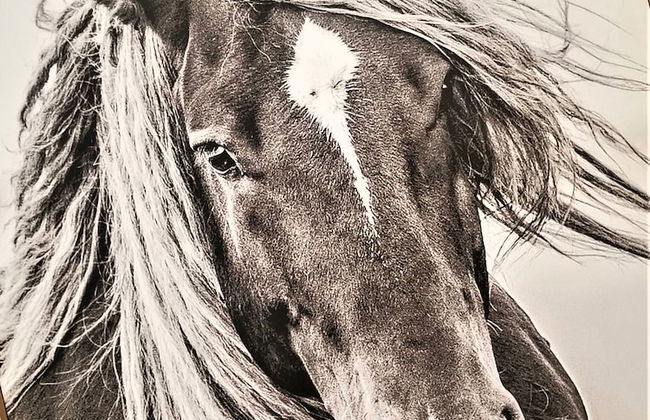 Peak Valley Manor, a Modern Farmhouse - Foto 24