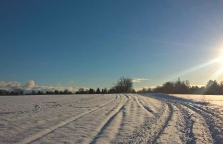Toms Stuga Ferienwohnung - Foto 28