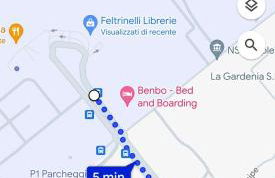 Ziettas Pop House - Photo 14