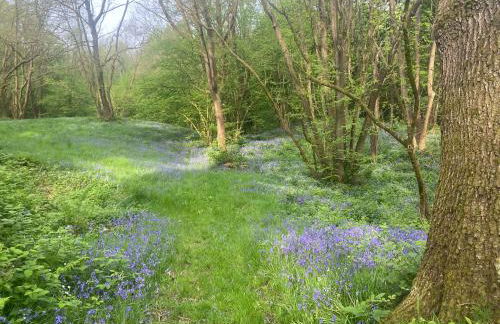 The Barn at Catacol - Foto 26