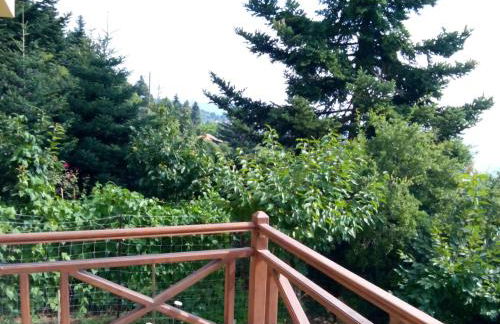 Elatos cozy Studio - Foto 28