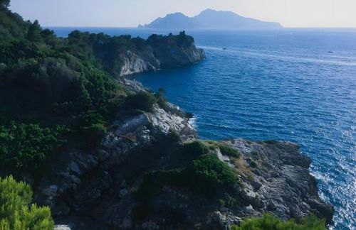 Lubrense Signature Suites - Photo 23