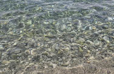 Sapore di Mare - Foto 16