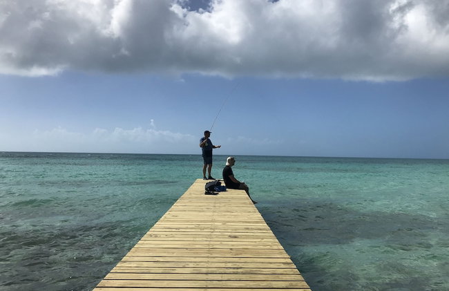 Buttonwood Reserve 2D - Photo 38