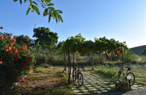 Chliara apartments by Tzalas - Foto 17