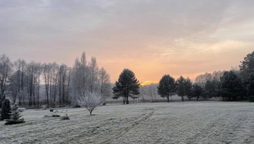 Sercem i Kopytem - Foto 2