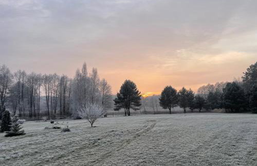 Sercem i Kopytem - Foto 2