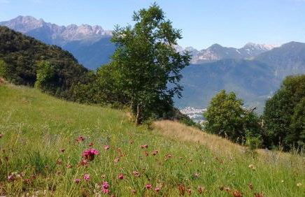 Rifugio Uschione - Foto 13