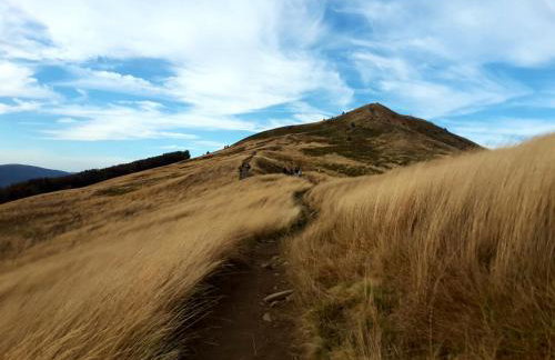 Baza w Bieszczady - Foto 1