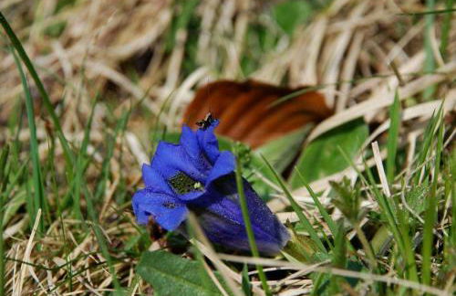 Casa Danoli - Foto 36