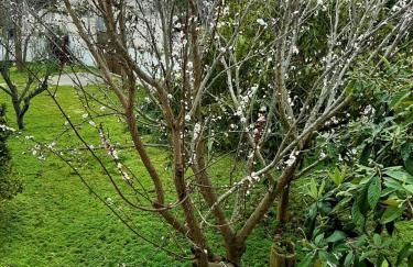 Salento Appartamenti - Foto 6