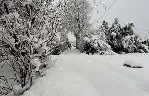 Dairy Cottage - Foto 23