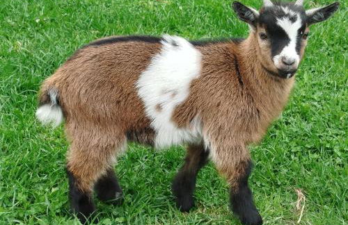 Bed and Bike Rheine - Foto 42