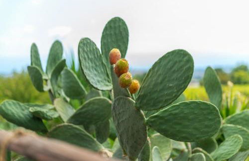 Agata's House - Foto 8