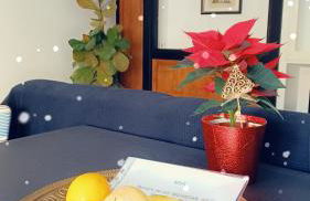 Chalet El Maset - Foto 20