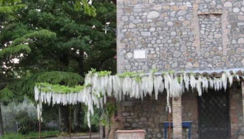 Country House - Casa Raffaella di Michele e Sven - Foto 4