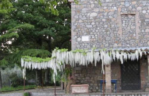 Country House - Casa Raffaella di Michele e Sven - Foto 4