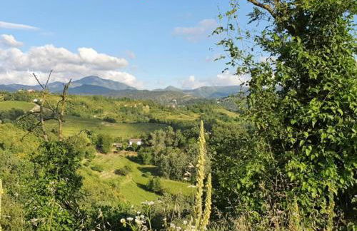 Guest House in Monferrato With Wine Tasting - Foto 50