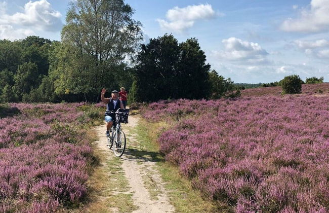 Heidetraum in der Pension Heidetraum - Photo 12