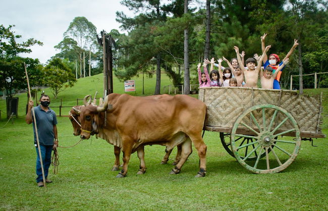 Chiminelli Hotel Fazenda e Eventos - Foto 48