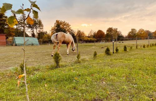 JZ Guest Ranch - Foto 33