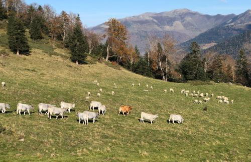 Le refuge 66 - Foto 22