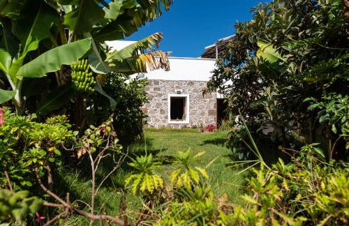 Villa Canaria piscina jacuzzi jardín - Foto 16