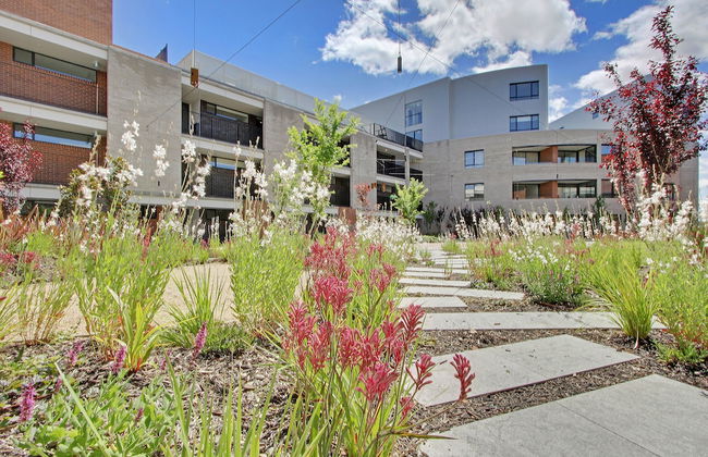 Accommodate Canberra - The Prince - Foto 42