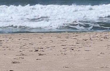 Apto Praia do Tombo - Foto 10