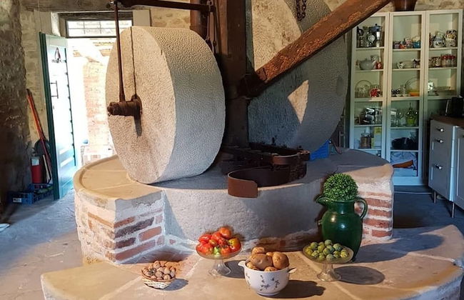 Agriturismo Sinciano - Foto 22