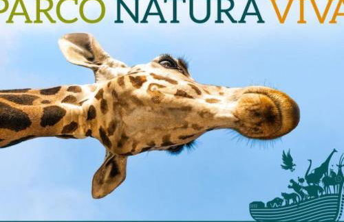 Apartment APART DINA LAZISE by Interhome - Foto 43