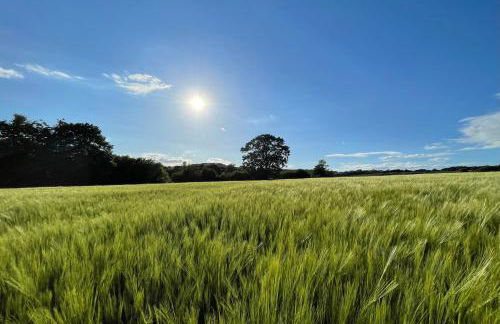 The Old Chapel - Photo 33