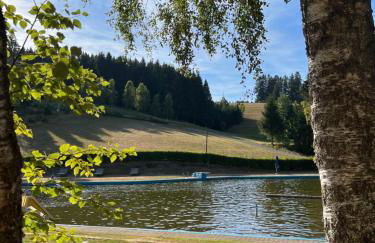 Apartment Schwarzwald-Anni Pool Tennis Sauna - Foto 32