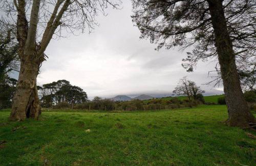 Dundrine Cottage - Foto 21