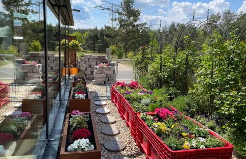 Spreewaldhaus Widwan - Foto 12