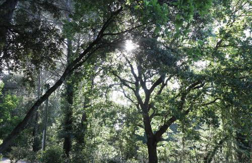 Maison calme et verdure - Foto 23