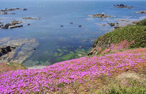 Penare Terrace in Penzance - Photo 27