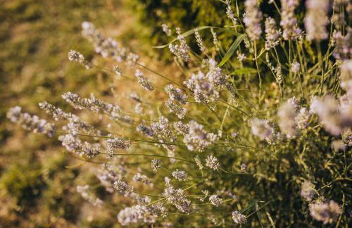 Villa Magnolia - Foto 50