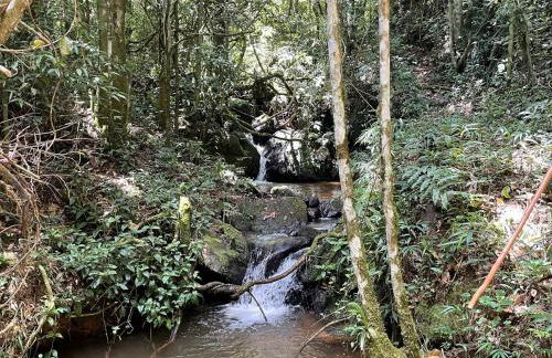 Linda casa de vidro no coração da Mantiqueira - Foto 24