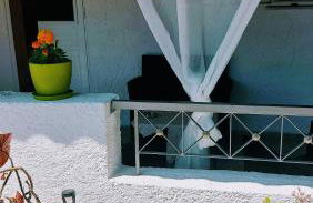 Lily's house near the beach - Photo 25