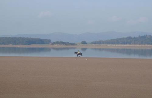 Shore Cottage - Photo 12