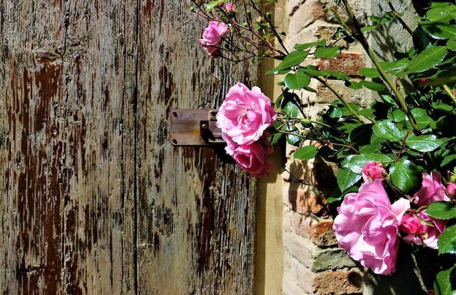 La Dimora nel Corso - Foto 68