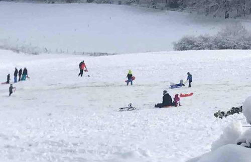 Schöne Ferienwohnung mit Ausblick in die Natur - Foto 14