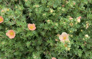 Galloway Farmstay Claunch - Foto 27