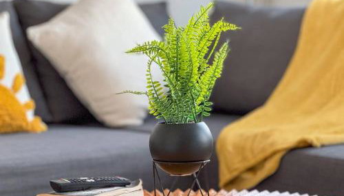 LUX 1 Bed Flat next to Station in Tooting - Foto 5