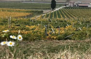 La Grotta - Photo 46