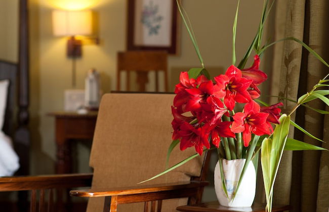 Ama Plantation Trails , Coorg - Foto 2